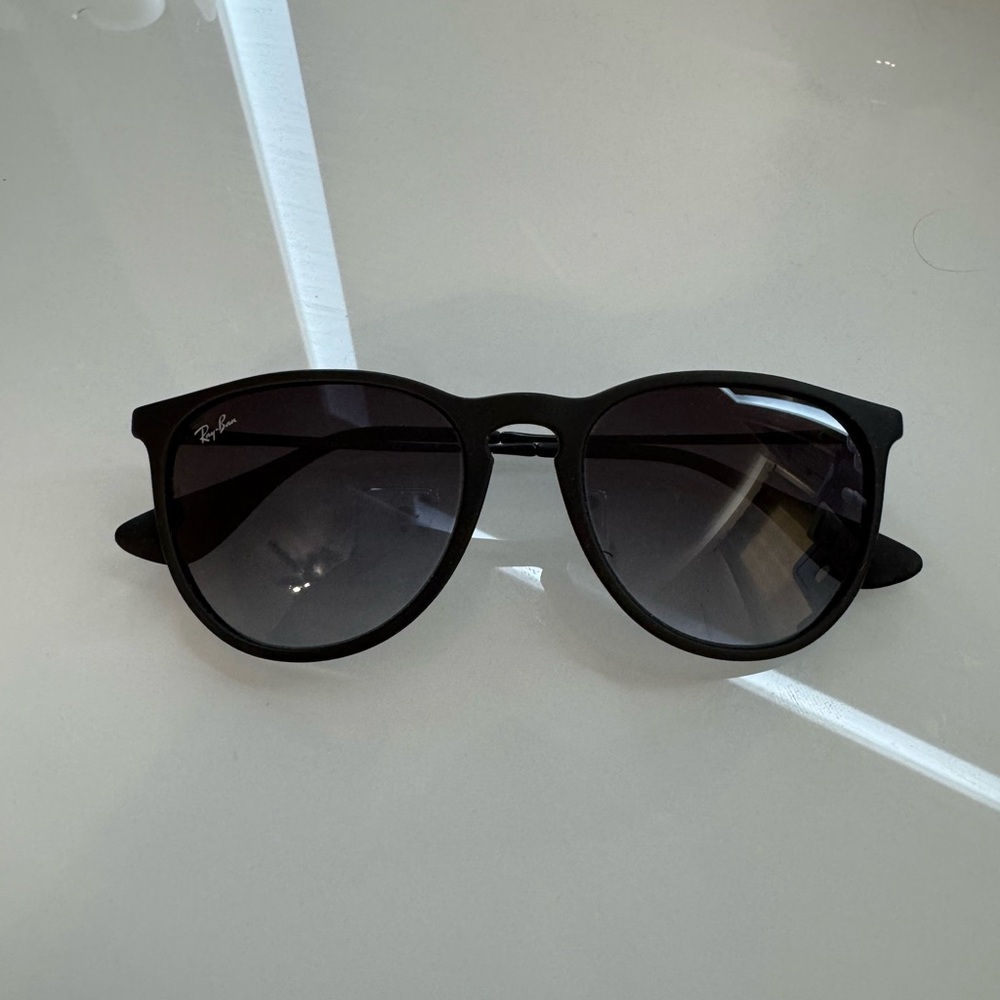 Ray-Ban Black Erika Sunglasses